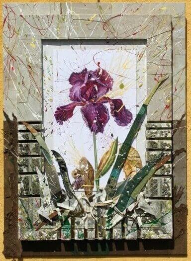 "Iris" by Nall "Iris" by Nall