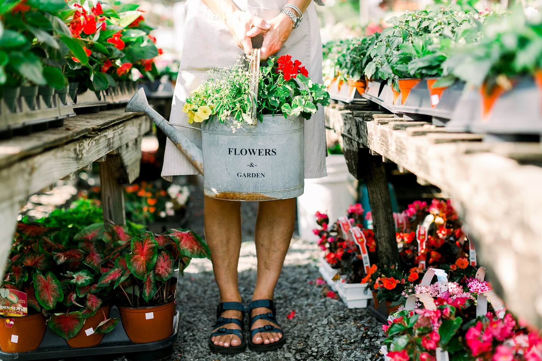 Millstone Market & Nursery