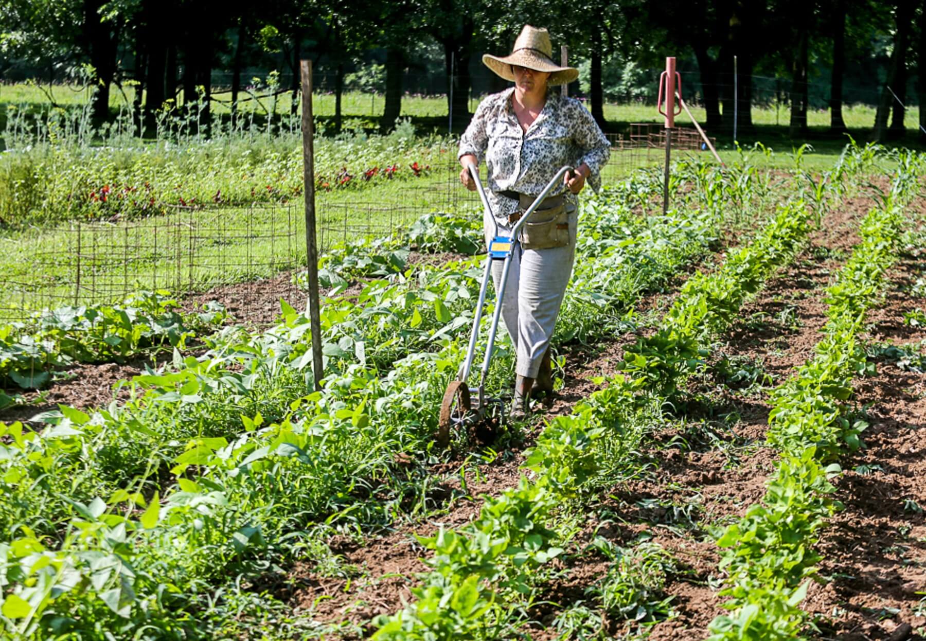 Sarah is a dedicated ambassador to the garden at Glen Leven.