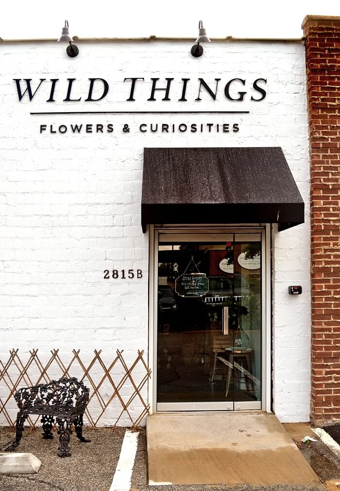 Wild Things: More Than You’d Expect From a Local Florist