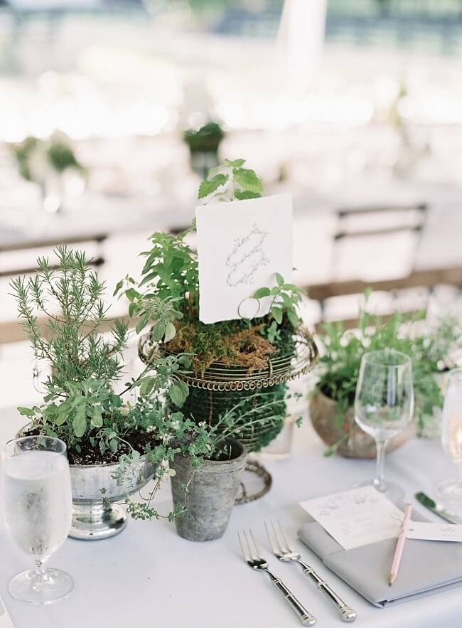 Patterson Graham Outdoor Wedding39 e1532468799874