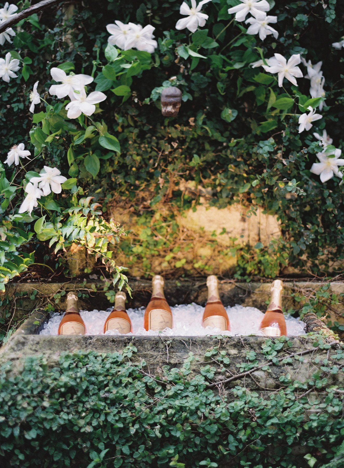 Cocktail hour included a rose Champagne, a Margaine; vermouth spritz cocktails on tap made by our friends at The Ordinary in Charleston, an NA cocktail called a “Not Gin and Tonic,” along with caviar, fritto misto and beef carpaccio canapes.