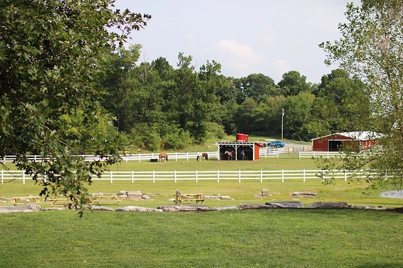 The Gentle Barn, opening this weekend in Christiana, TN, has horses, chickens, turkeys, cows and pigs.