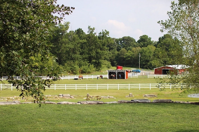 visit gentle barn