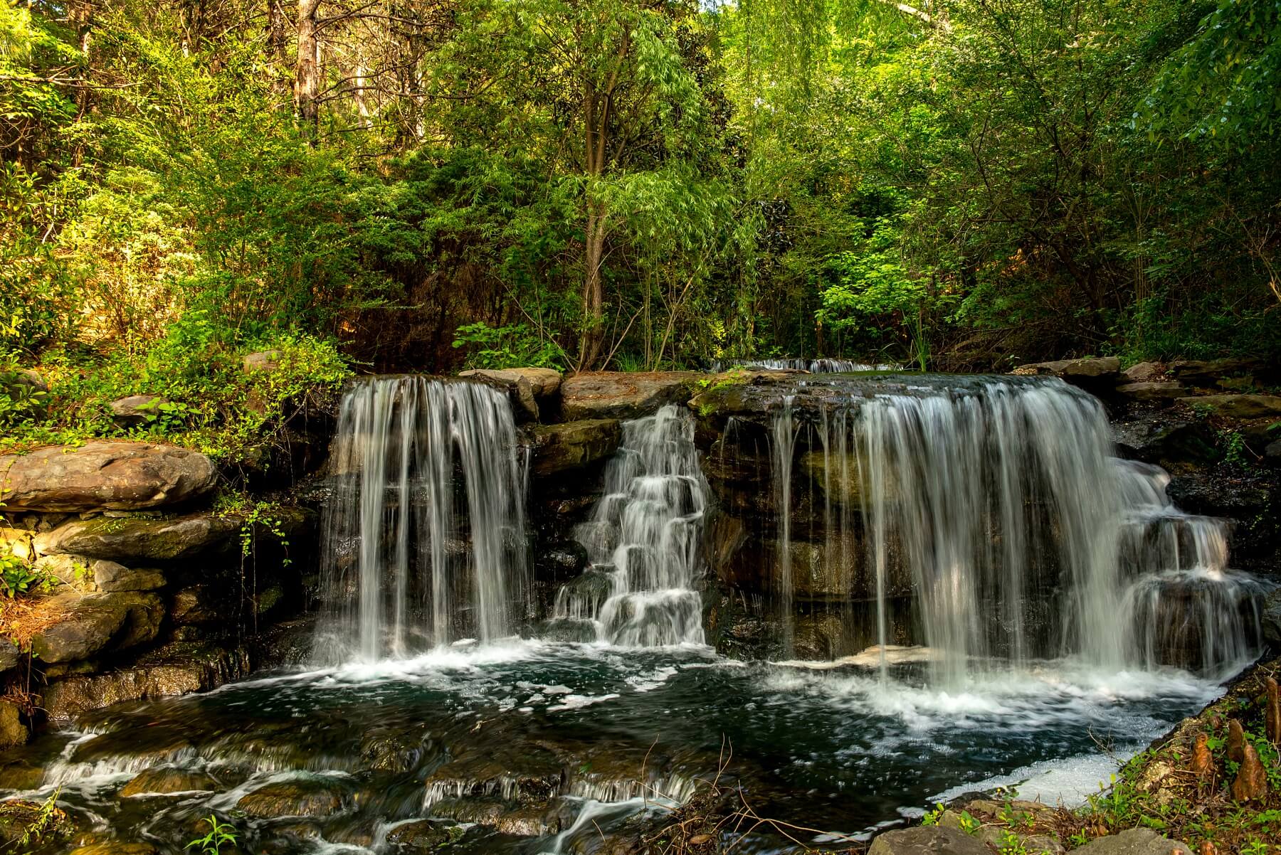 Liberty Park's natural beauty is simply breathtaking. Liberty Park