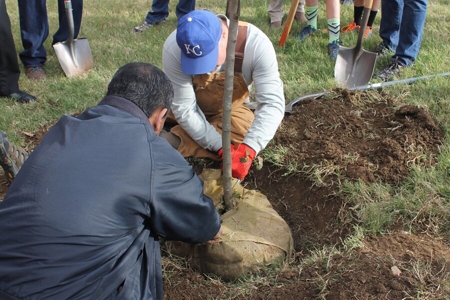 Belle Meade Blue Lights, Greenway Growth, Free Trees & More: 4 Nashville Initiatives Belle Meade Blue Lights, Greenway Growth, Free Trees & More: 4 Nashville Initiatives