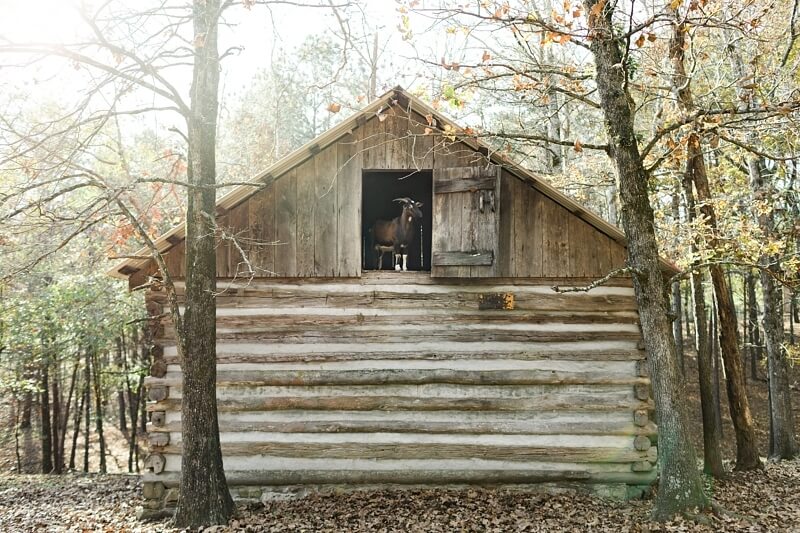 Fall Wedding Outside of Birmingham