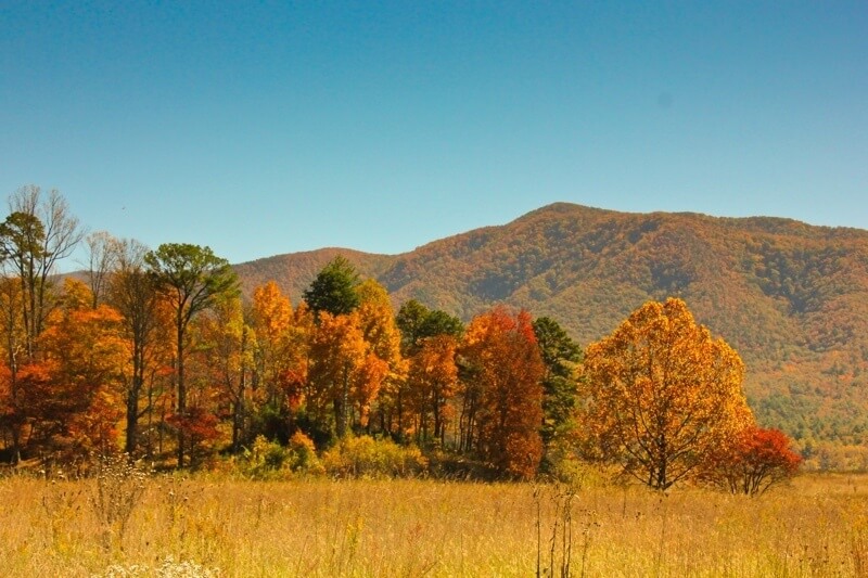 Cades Cove, in the Smokies, offers a stunning array of colors in the fall. Cades Cove, in the Smokies, offers a stunning array of colors in the fall.
