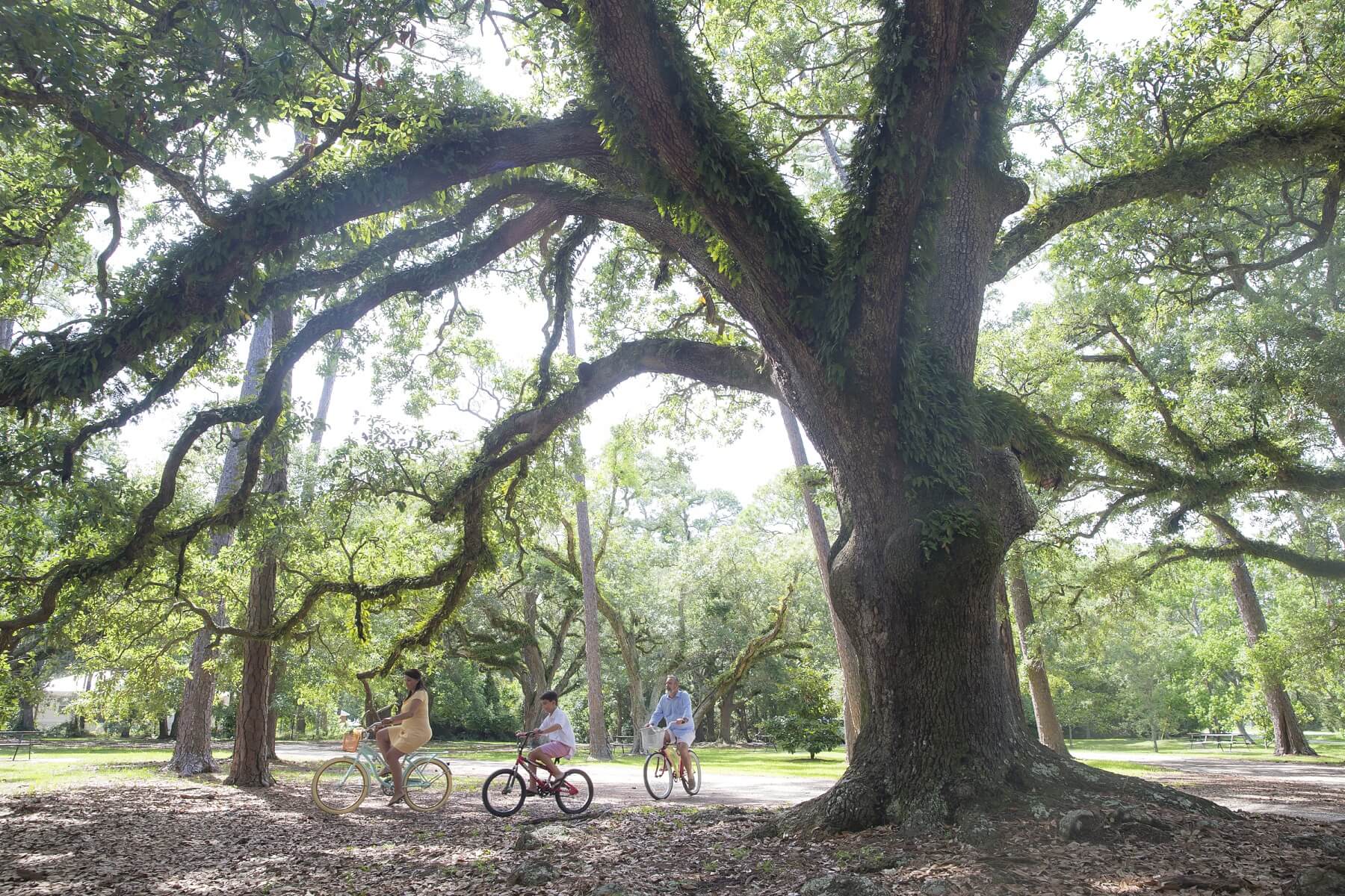 Island Hopper: Alabama Gulf Coast & the Florida Panhandle