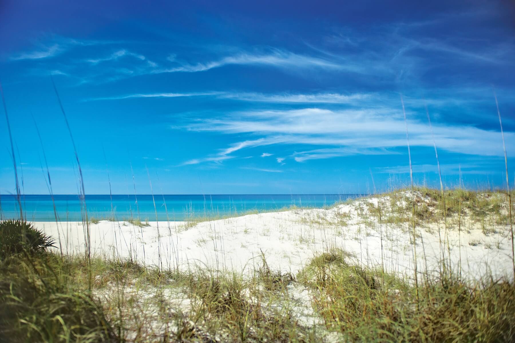 Shell Island Credit Visit Panama City