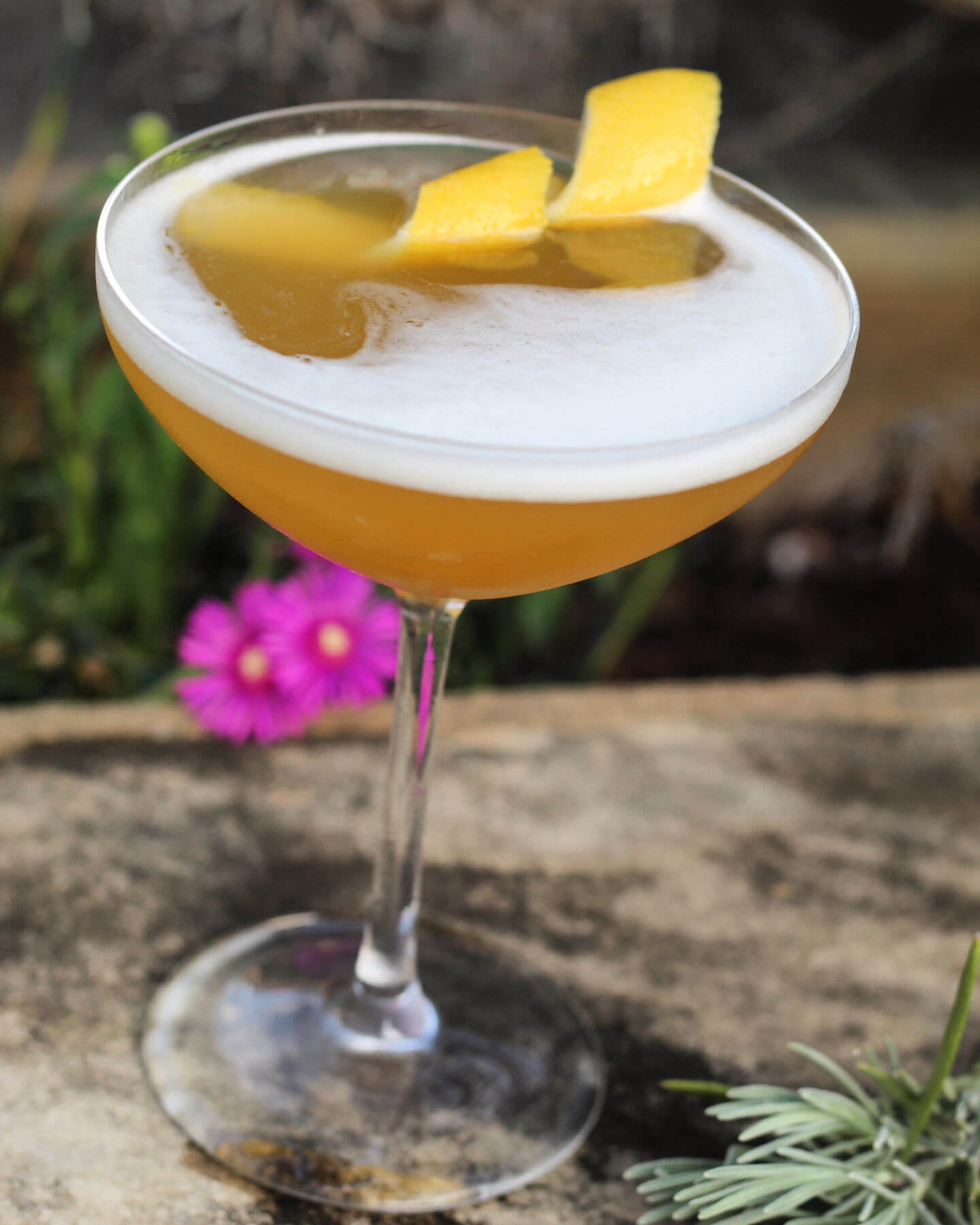 cocktails cocktails