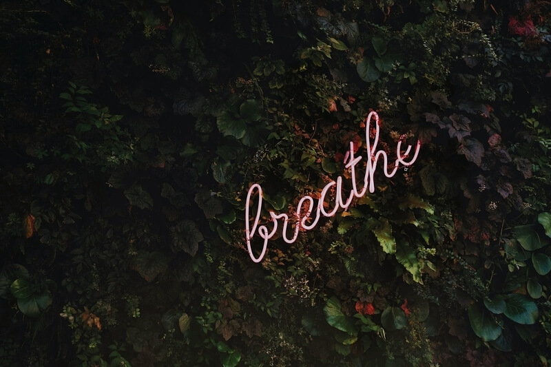 tim goedhart 334149 unsplash e1547497093834