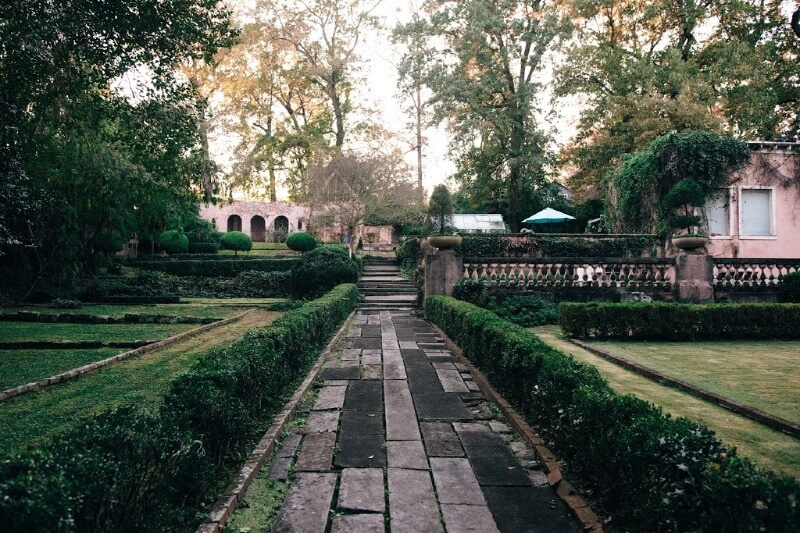 Homewood Pink House 