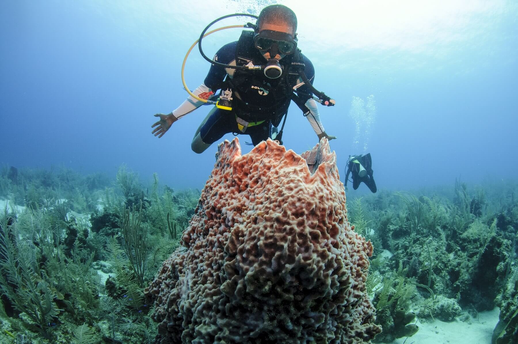 diving in Belize