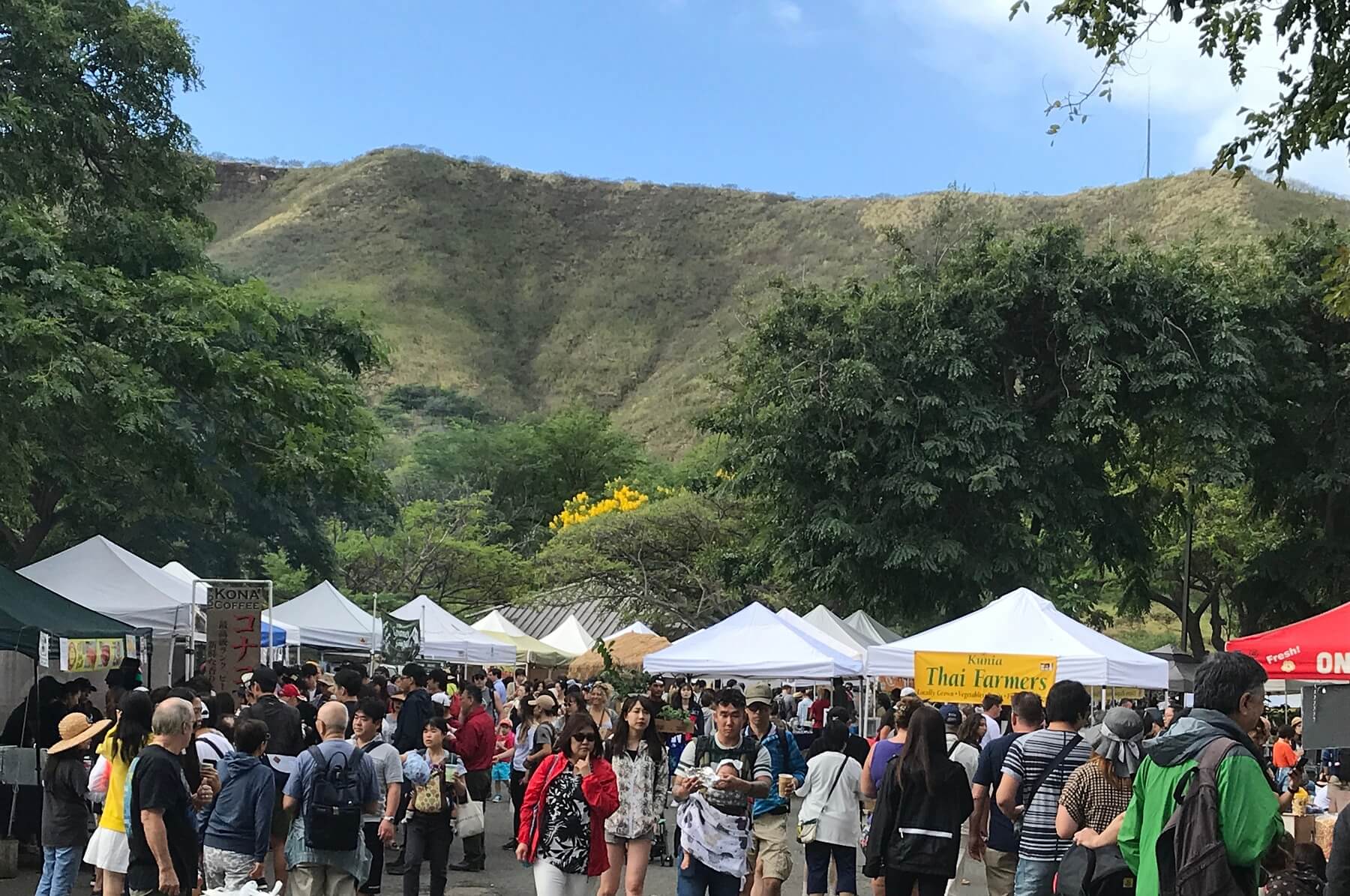 Oahu Travel