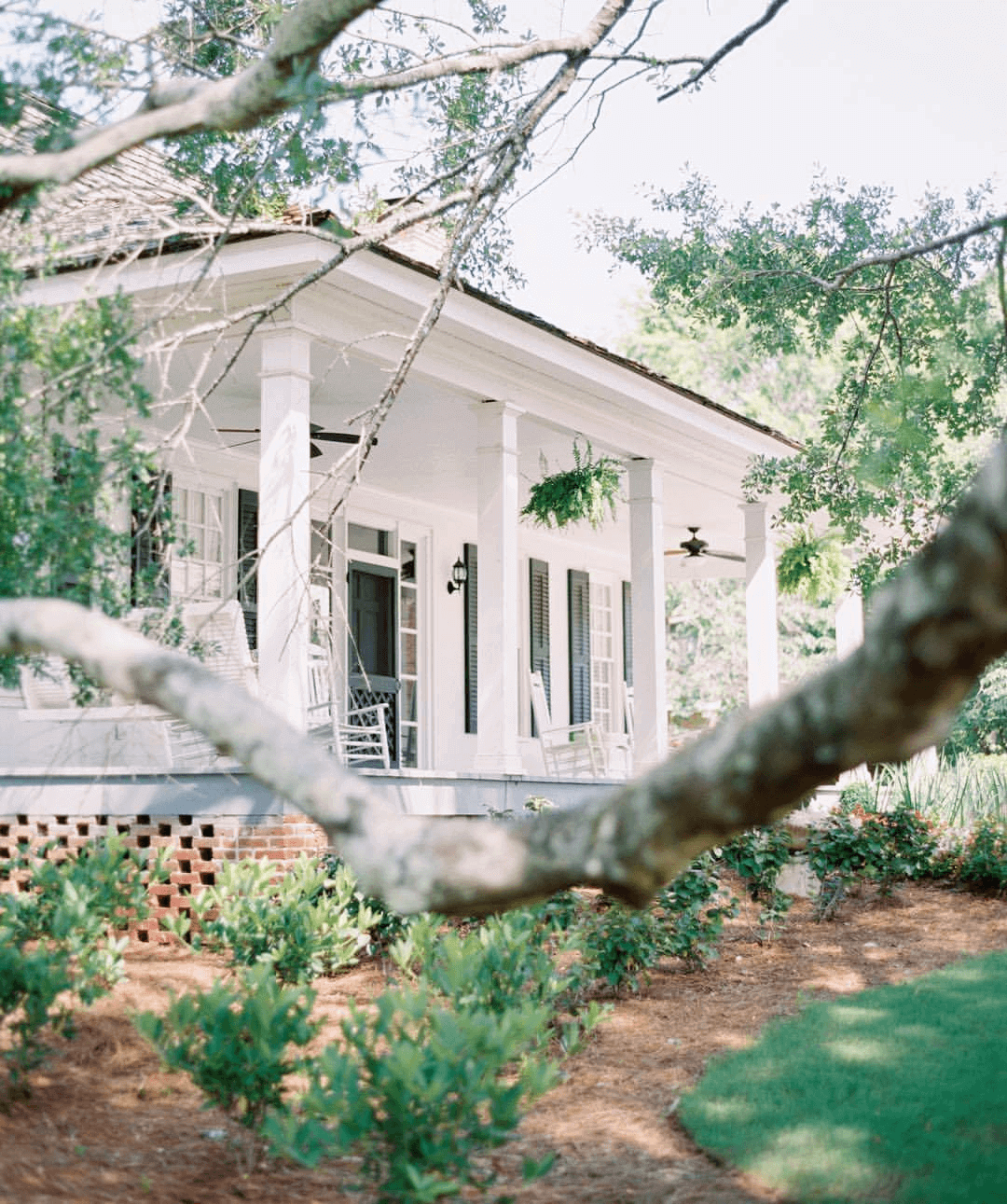 Pursell Farms
