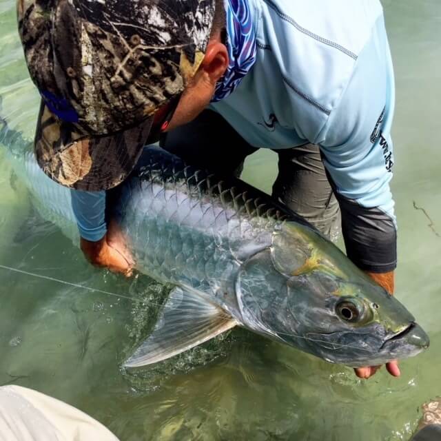 Tarpon fishing at Bahia Honda