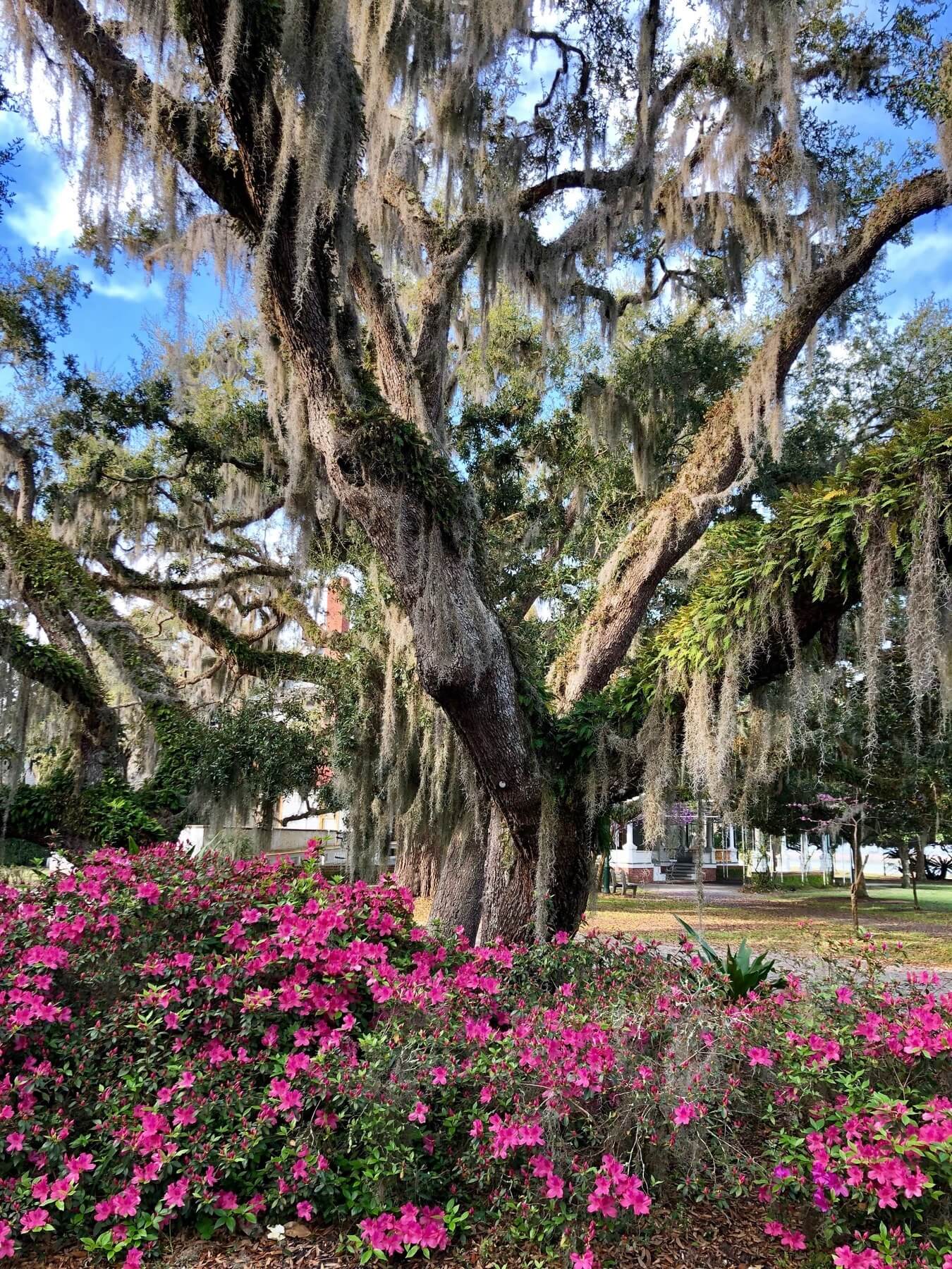 Jekyll Island