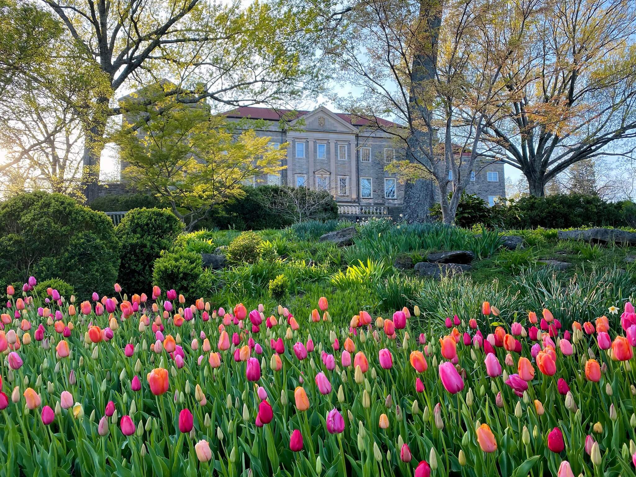 Best Botanical Garden: Cheekwood Estate & Garden 