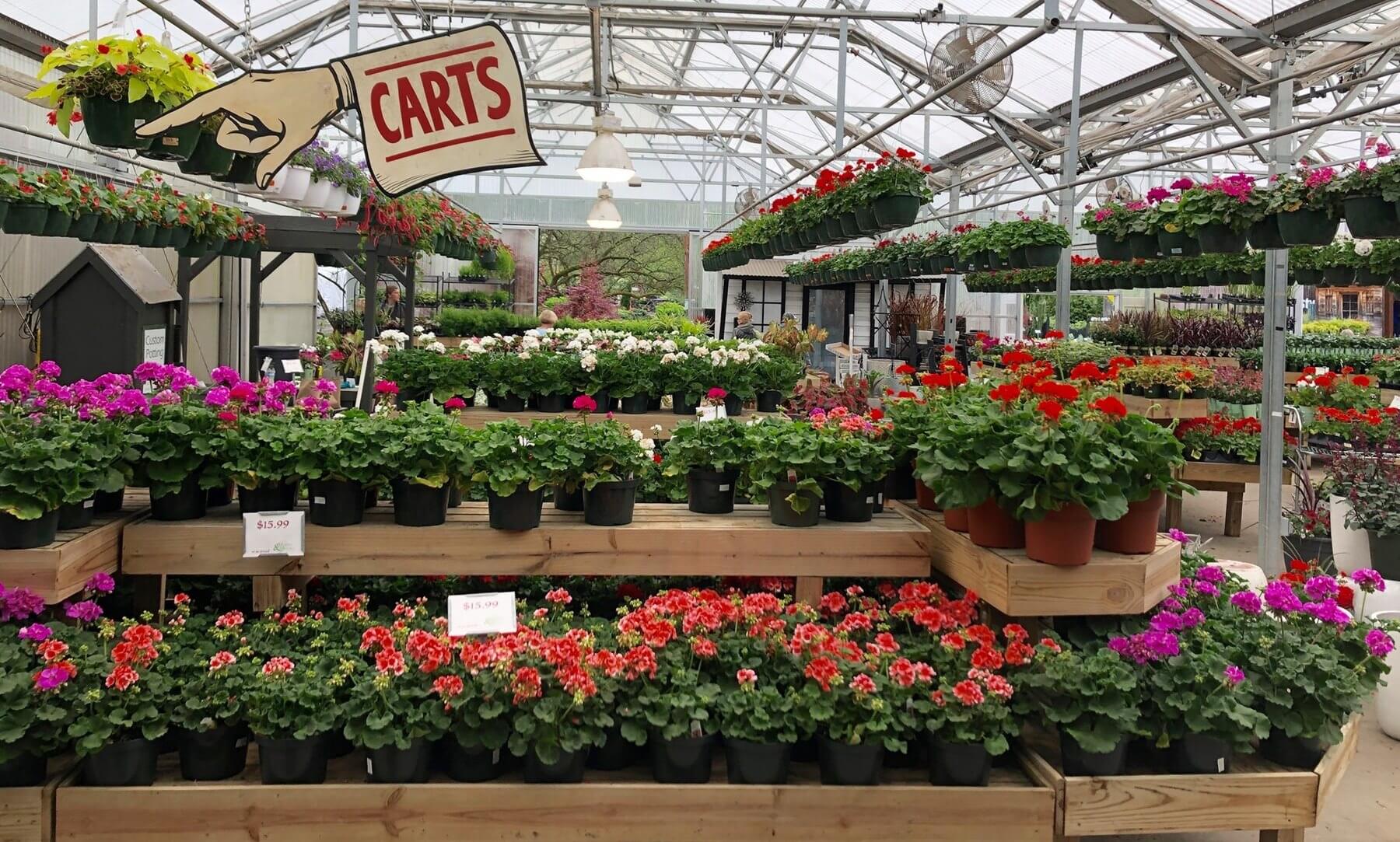 Flower Fix Where to Find Flowers &amp; Plants in Nashville