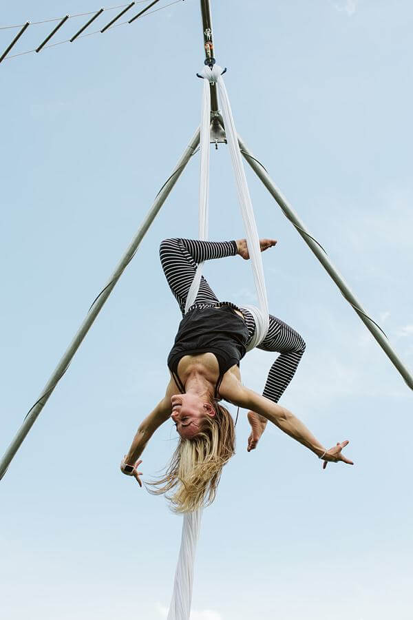 abbie springer cirque louis
