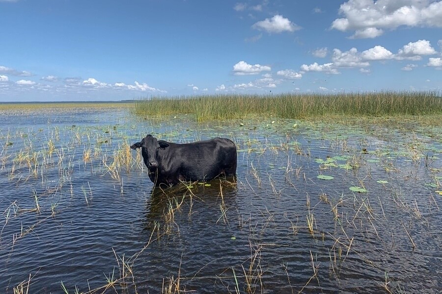 Visit Kissimmee: An Adults-Only Itinerary