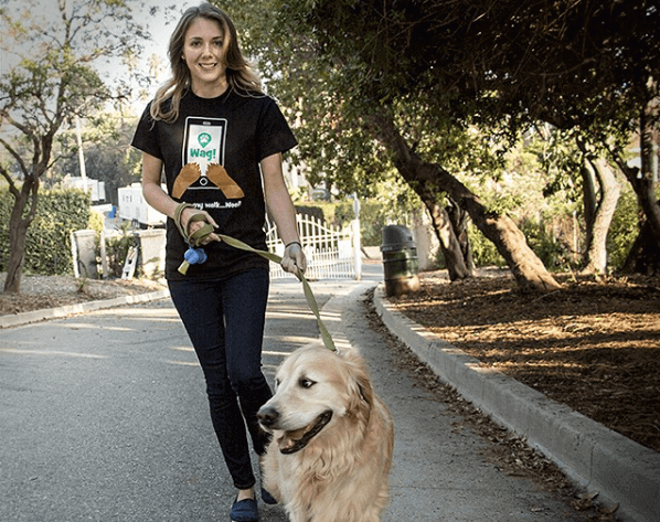 dog walker