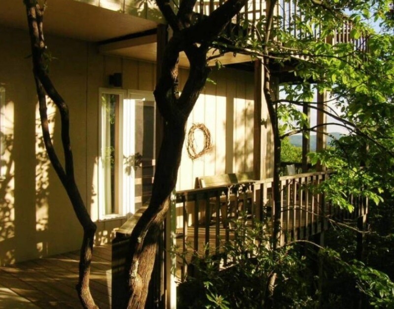 fire mountain treehouse