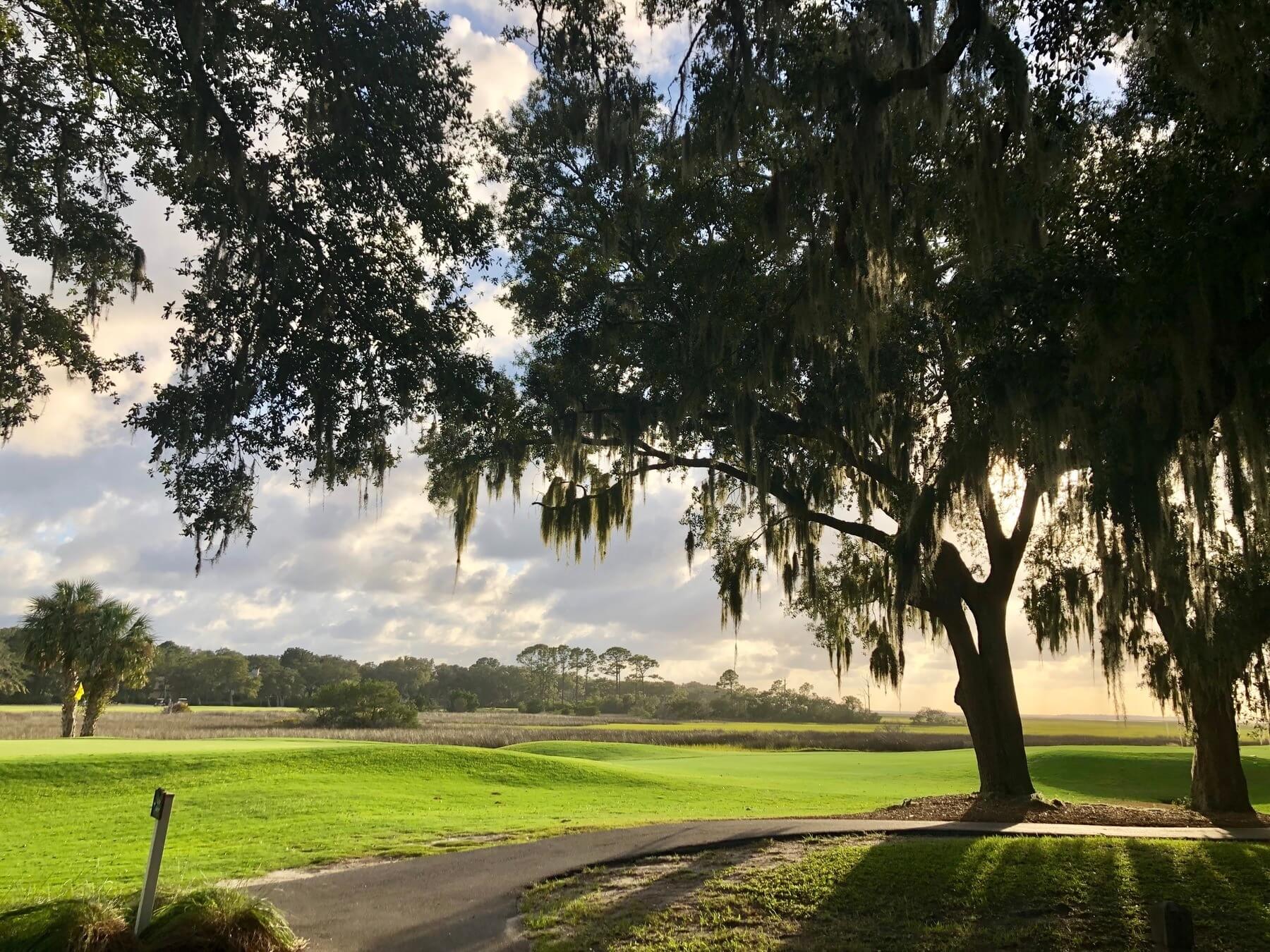 Live oak trees—with their majestic branches and romantic Spanish moss hanging down—are easy to spot everywhere, but particularly scenic at the Omni golf course. Image: Lisa Mowry A view of the Omni Golf Course on Amelia Island
