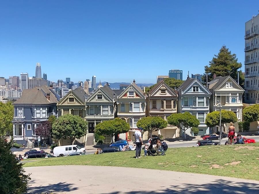 painted ladies