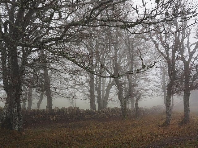 A foggy spot on Sleepy Hollow Road