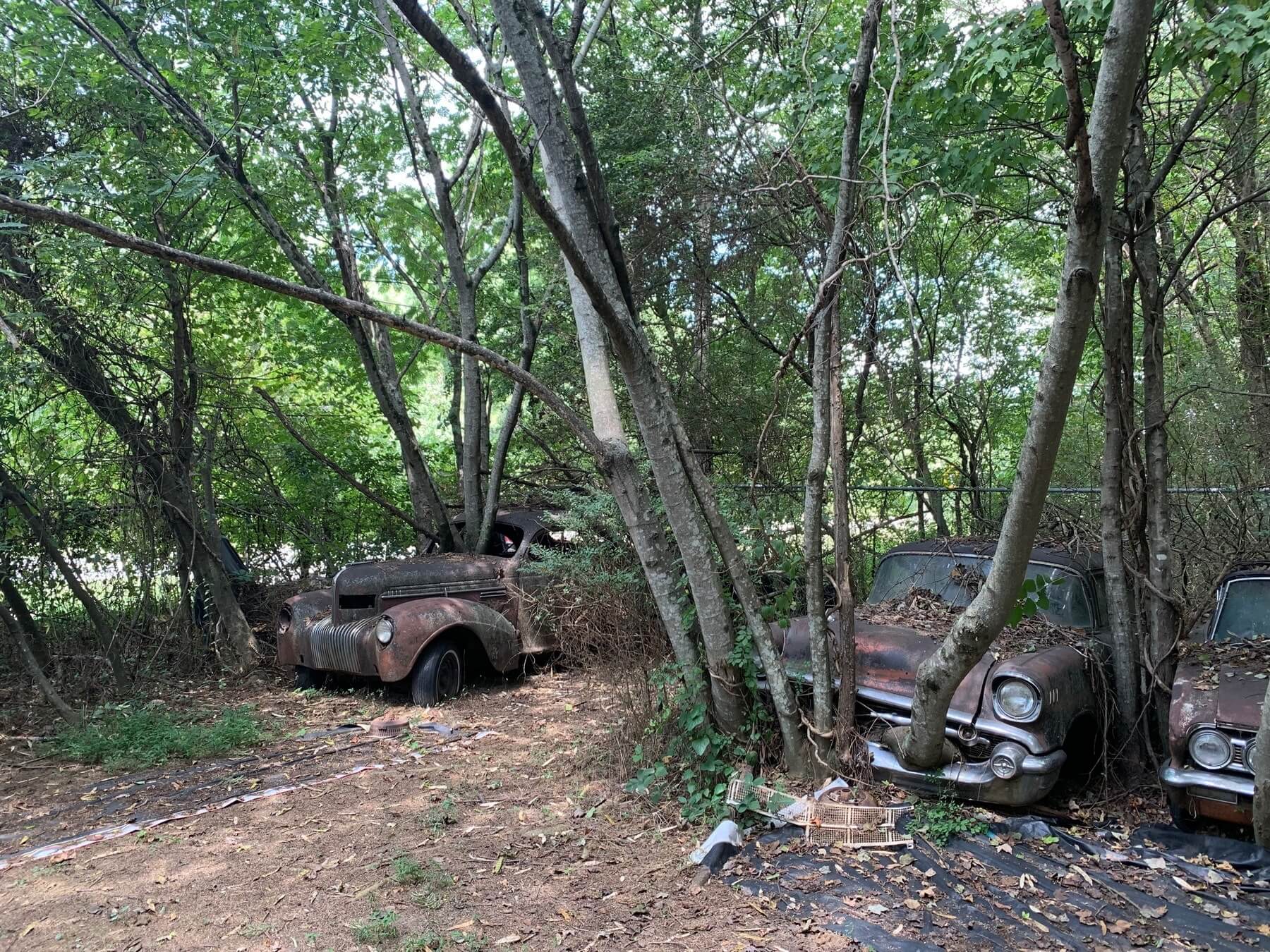 old car city cars and trees- Cartersville, GA