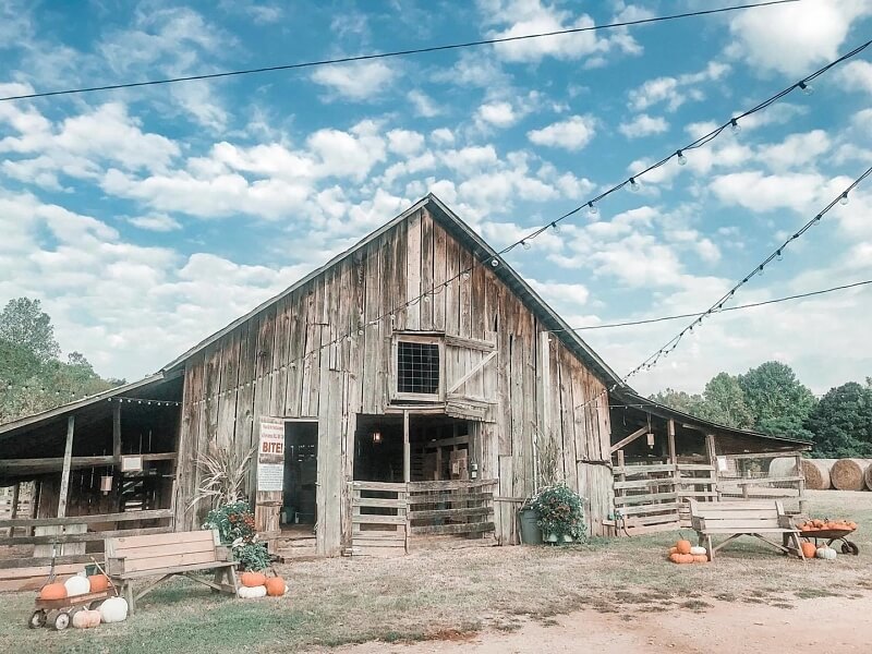 Old Baker Farm is the perfect destination for this season's family-friendly fun! Image: Old Baker Farm Birmingham pumpkin patch: Old Baker Farm