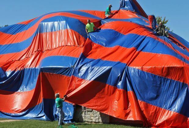 brown recluse- fumigation