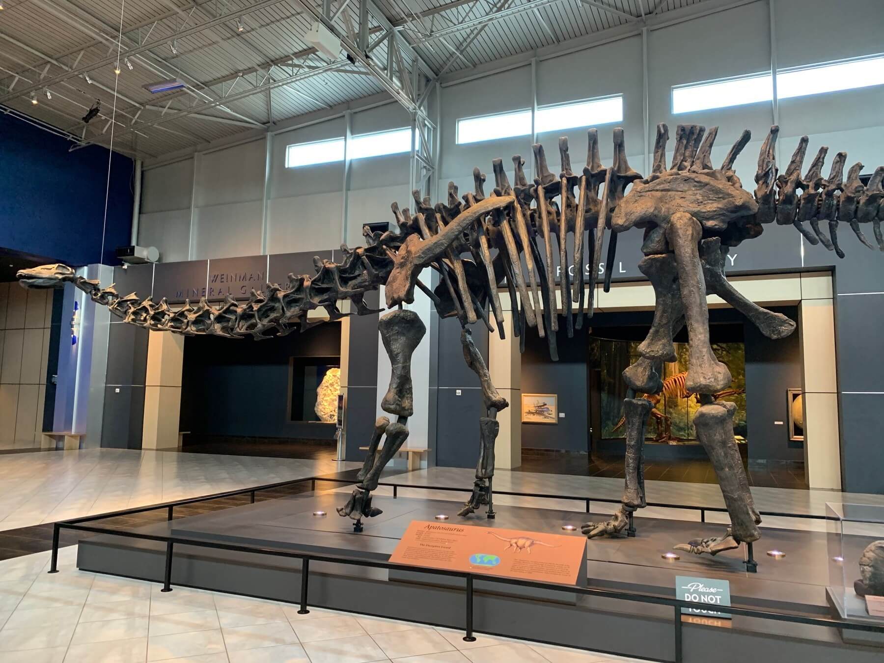 dinosaur- Tellus Museum- Cartersville, GA