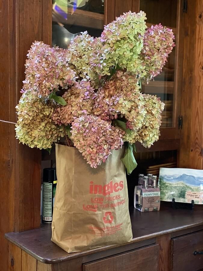 Paper bag of Hydrangea