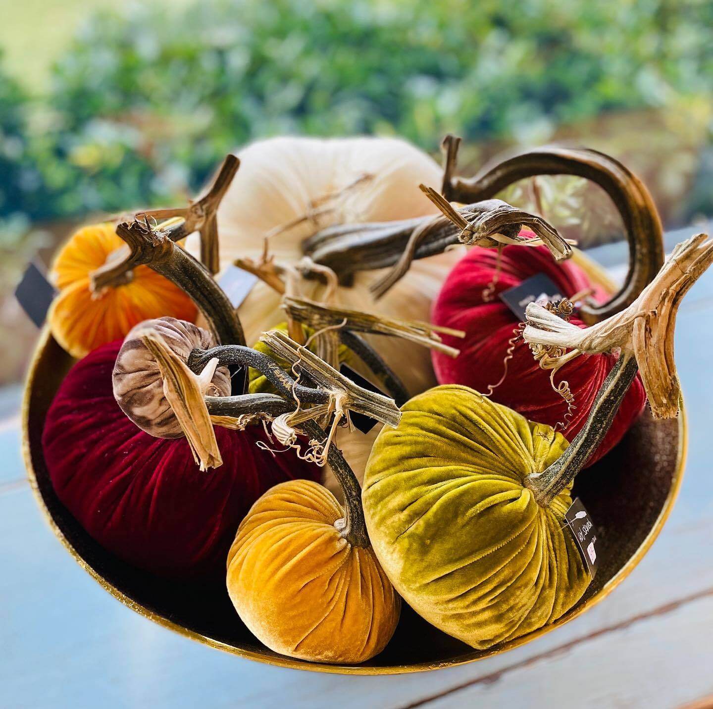 Velvet pumpkins, $17 to $64, at Maxi B. Home | Image: Maxi B. Home Velvet pumpkins at Maxi B. Home