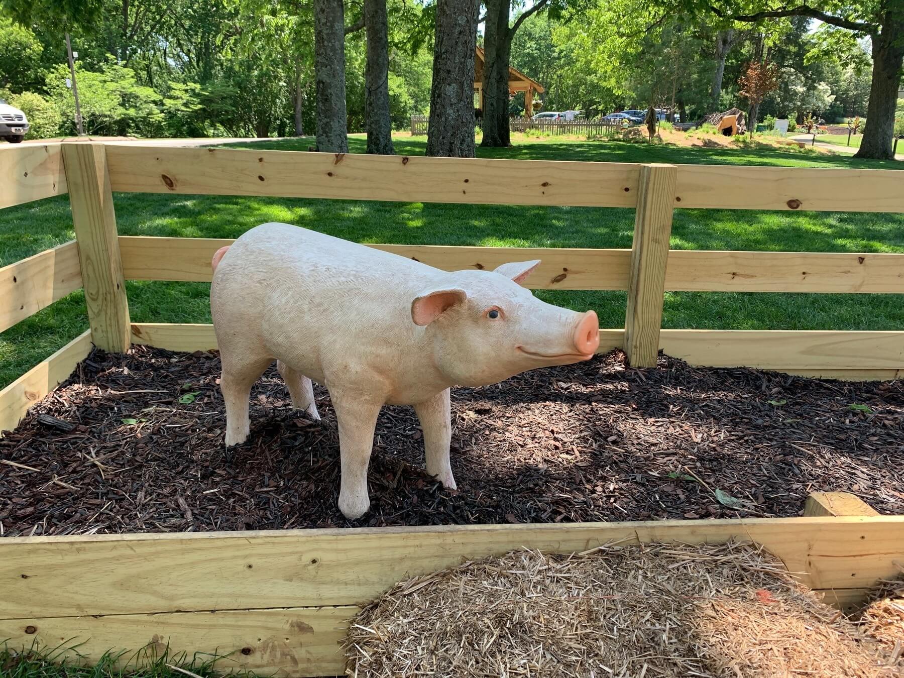 Wilbur the pig at The Wills Company's 2019 favorite design project