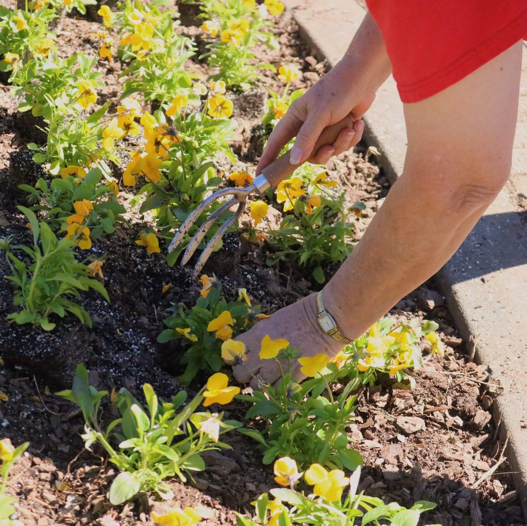 Learn a new skill and start a new hobby in 2020 at the Birmingham Botanical Gardens | Image: Birmingham Botanical Gardens Woman gardening at Birmingham Botantical Gardens January FINDS
