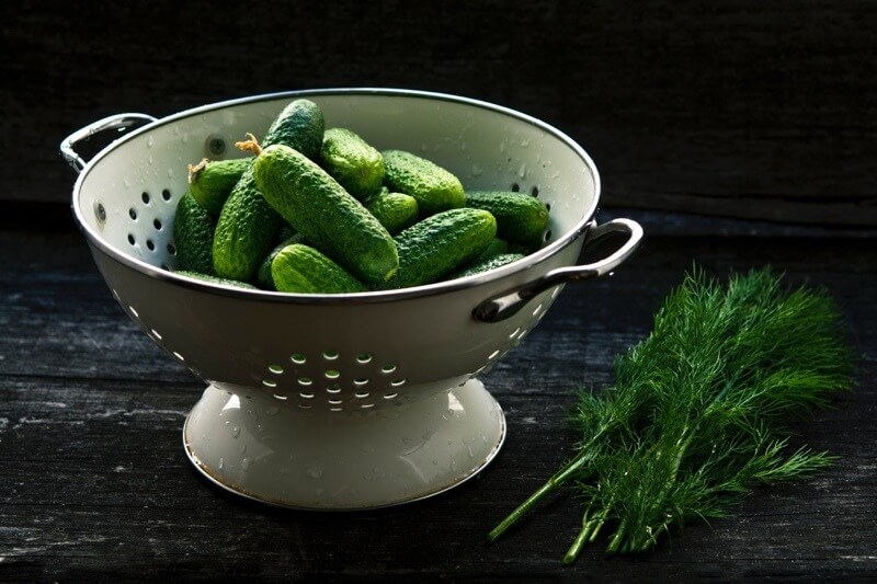 RECIPE: Sunflower (Mock) Tuna Salad Served in Persian Cucumber Cups