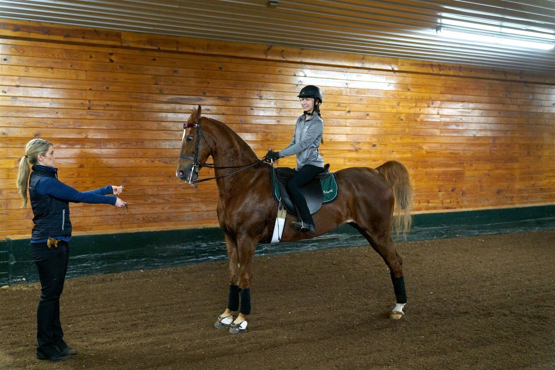 horse riding at Kismet Farm