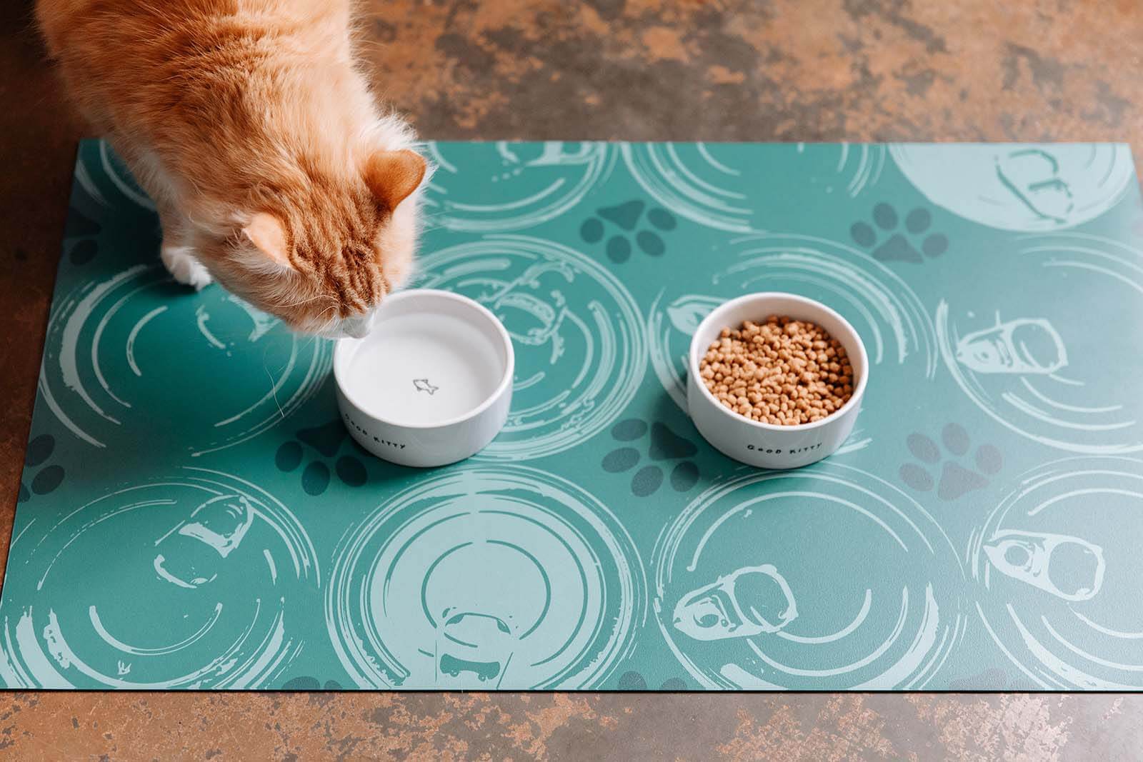 Dwell and Good floor accessory — pet mat
