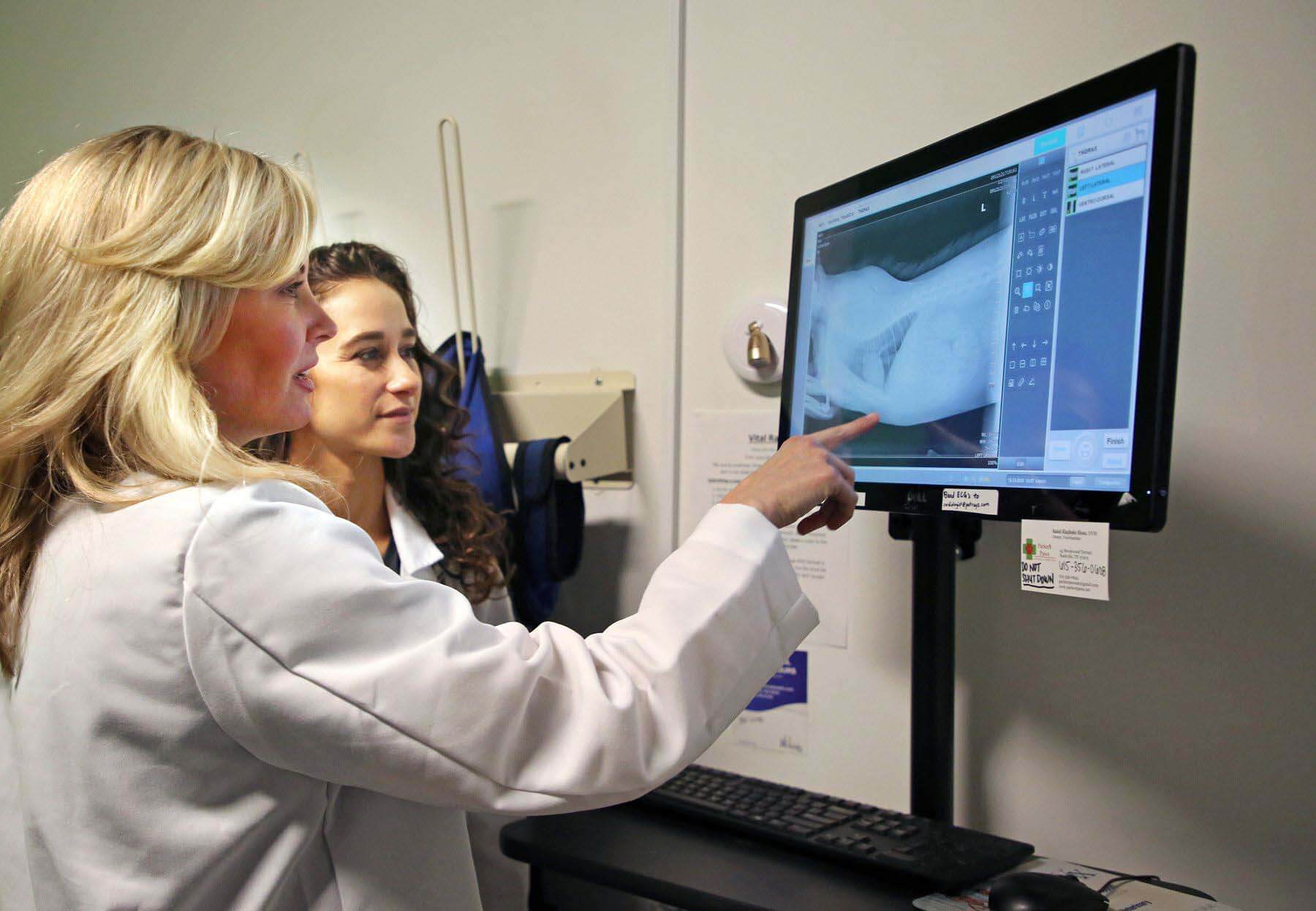 Nashville veterinarian Dr. Rahel Klapheke Sloan of Parker's Paws reviews an x-ray with one of her staff vets.