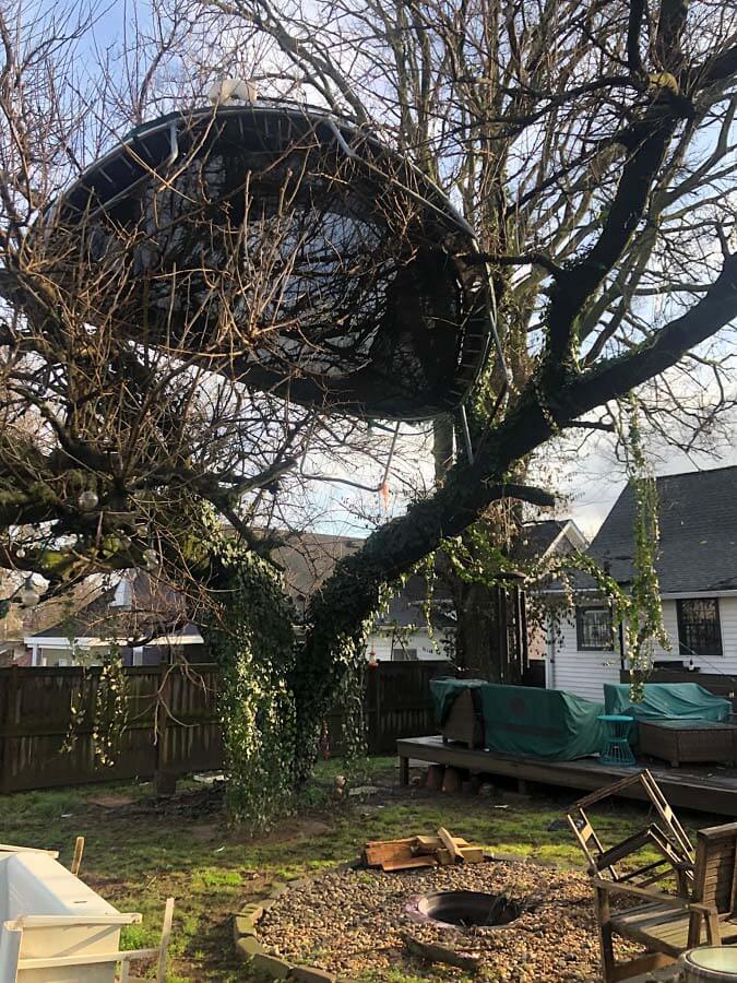 Trampoline in tree after Nashville tornado