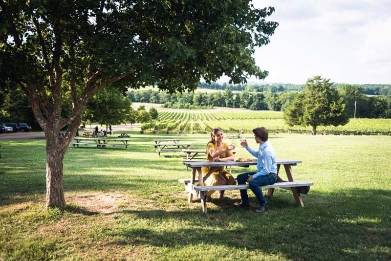 Arrington Vineyards outside Franklin Tennessee 14