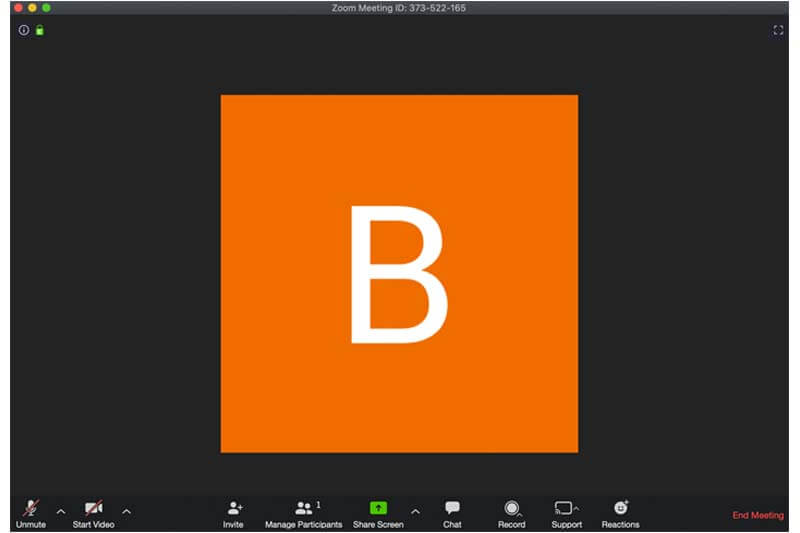 After starting your meeting, your video and Meeting ID should appear on your screen. Zoom Meeting