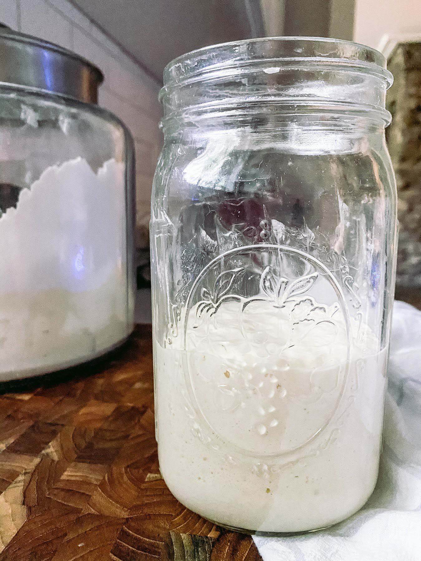 Post-feeding sourdough starter