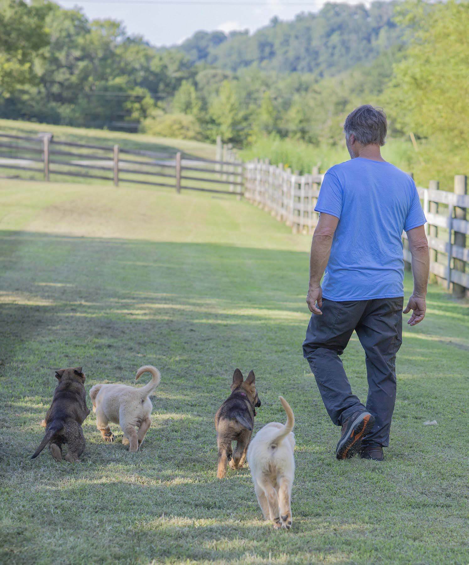 Adopting a pet can bring joy to our current isolation ... and for years to come! Image: Cedar Valley Canine puppies following trainer