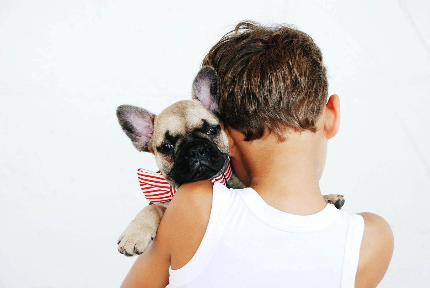 Be sure you adopt a pet that fits your lifestyle. Important considerations include the age of your children, veterinary expenses and available yard space. French Bulldog puppy with child after pet adoption