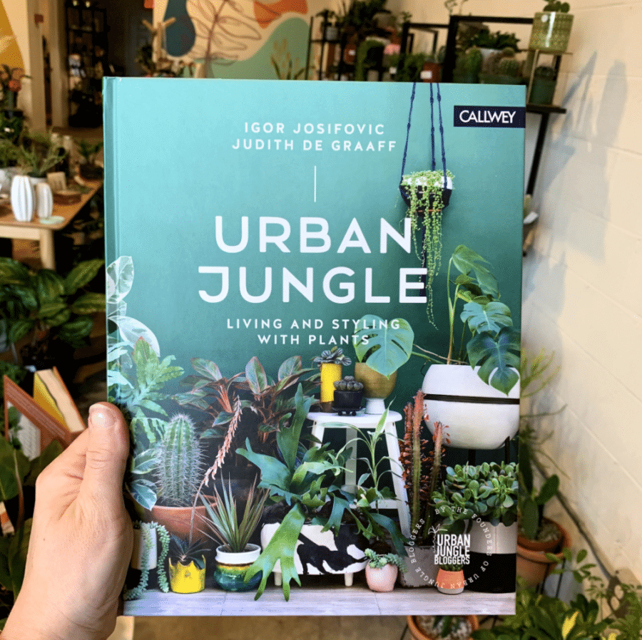 Urban Jungle book from House Plant Collective